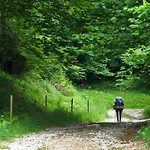Allotjaments Cal Llarg * Molló